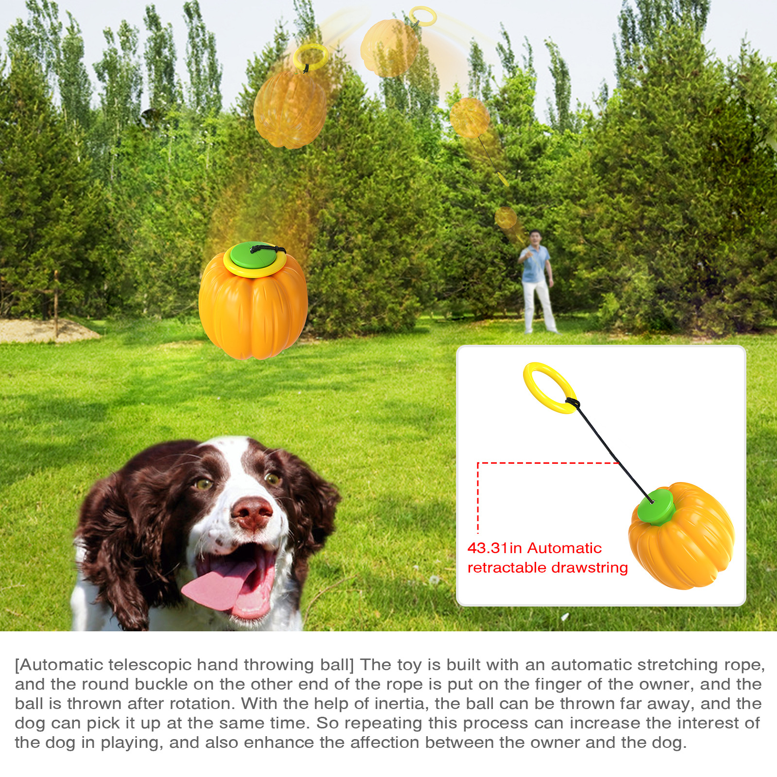 Dog Catching Toy