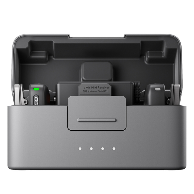 Mic Mini Omni-directional Handheld Wireless Microphone Dual Microphones Type-C Charging Case Noise Cancelling Lightweight Design