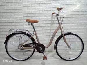 <span class=keywords><strong>2022</strong></span> Offre Spéciale <span class=keywords><strong>20</strong></span> pouces vitesse unique classique dames femmes et hommes vélo de ville vélo léger vélo de ville pour étudiant vélo de ville - Product Image 6