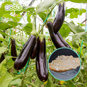 Penstabilan Tanah Polimer, Penelitian dan Pengembangan Poliakrilat Kalium Pertanian untuk Meningkatkan Produksi Buah - Product Image 4