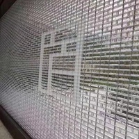LZX padat kristal Frost kaca bata blok bentuk persegi panjang datar untuk Outdoor Entry ruang tamu penggunaan medis untuk tirai dinding