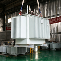 Transformateur de distribution immergé dans l'huile 33 kV S13-M, économe en énergie, faibles pertes, 400 V 50 Hz, IEC60076