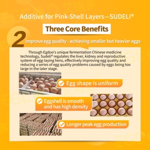 Veja la Diferencia en la Calidad de las Huevos con Nuestros Poderosos Aditivos para Alimento de Pollo EGDOO al 0.2% con <span class=keywords><strong>Amino</strong></span>ácidos de Grado Alimenticio para Gallinas Ponedoras - Product Image 5