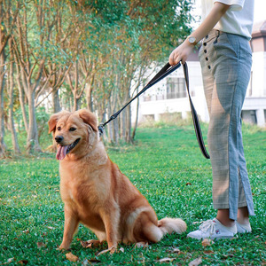 Cross Border <b>Pet</b> <b>Leash</b> Reflective Car Mountable Medium Dog <b>Leash</b> For Outdoor Use - Product Image 1
