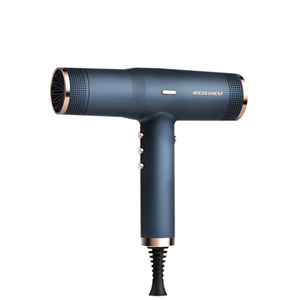 Sèche-cheveux ionique professionnel 1800W avec moteur sans balais et diffuseur pour la maison, l'hôtel et le camping-car - Product Image 1