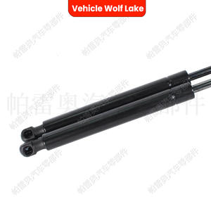 Varilla de Soporte para Puerta Trasera Wolf Lake para Chevrolet Captiva 2006-2011, Amortiguador de Gas 96861594 - Product Image 1