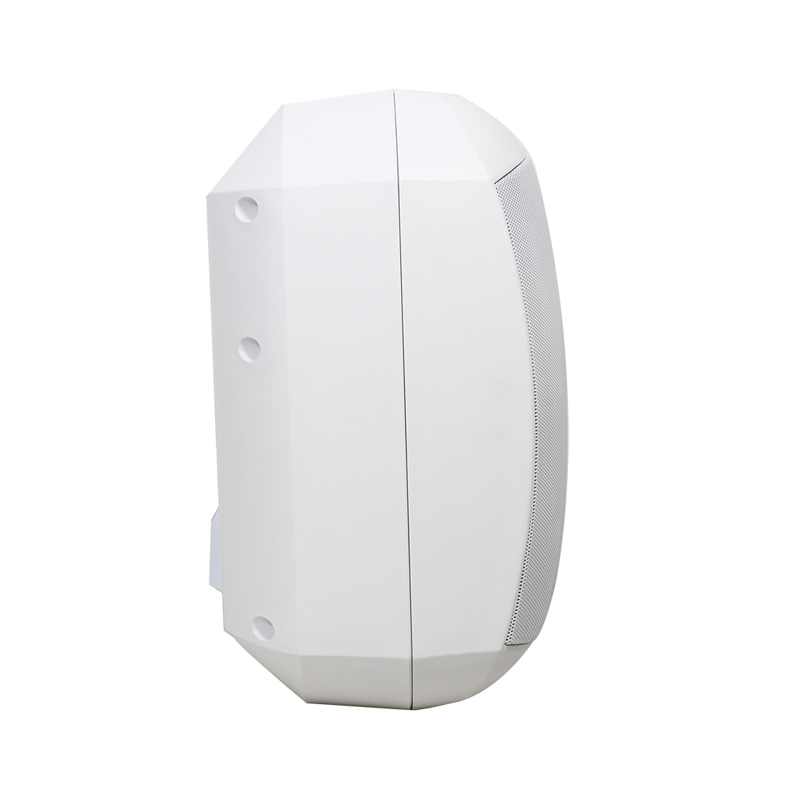 T Professional Weatherproof Plastic Wall Mounted Mural Pour Haut-parleur Outdoor PA 100v 30 Watts Mini Speaker · image 4