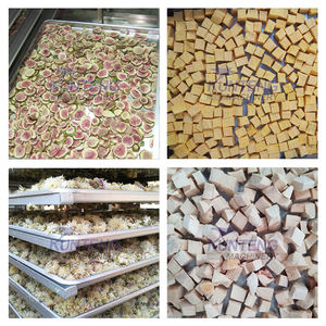 Máquina de Liofilización Económica para Jackfruit, Máquina de Deshidratación por Congelación para Carne, Máquina de Liofilización de Alimentos - Product Image 5