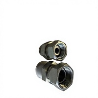 Raccord hydraulique droit en acier au carbone et acier inoxydable sur mesure, filetage BSP
