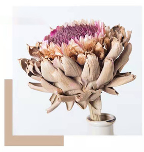 Arreglo de flores preservadas Decoración para el hogar Flores DE BODA King Protea Blush Branch Banksai Natural Real Dry Protea Flower - Product Image 5