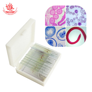 25 diapositivas de muestras microscópicas de parásitos, con fijación estándar para investigación de parasitología clásica. - Product Image 1