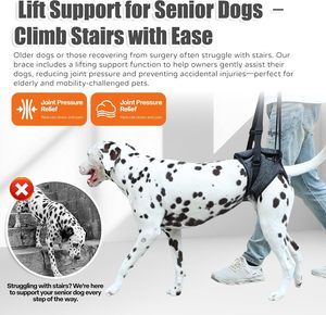 Hiphoppet Lift <span class=keywords><strong>Harness</strong></span> Fornecer Suporte com Atrofia Muscular e Problemas Articulares para Idosos Feridos Artrítico Pet <span class=keywords><strong>Dog</strong></span> Sling - Product Image 6