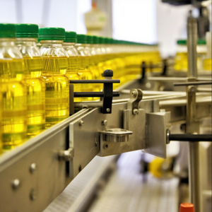 Kompakte automatische Öl-Abfüllanlage mit benutzerfreundlichem Design für kleine Speiseölverarbeitungsbetriebe - Product Image 1