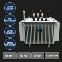 Transformador de Distribución Trifásico de 315KVA, 10kV/0.4kV, Sumergido en Aceite, de Rendimiento Estable, Marca Wanbo-310, Directo de Fábrica