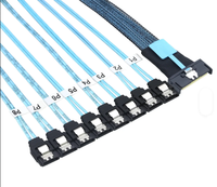 MCIO 8I SFF TA 1016 Ke 8 SATA 7 Pin Kabel Breakout 12Gbps 74 Pin Kabel Internal Server untuk Kartu RAID Penyimpanan HDD SSD