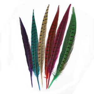 Natural al por mayor Plumas Ringneck faisán Plumas de la cola Pluma de <span class=keywords><strong>Faisan</strong></span> - Product Image 1