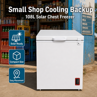 Congélateur coffre solaire 108L AC/DC 75W avec réfrigérant R134a pour petites entreprises, refroidissement compact et utilisation hors réseau