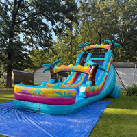 Toboggan aquatique gonflable commercial en PVC pour adultes, idéal pour les parcs de jeux extérieurs – Offre spéciale palmiers