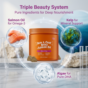 Échantillon Gratuit OEM ODM Huile de Krill <span class=keywords><strong>pour</strong></span> Animaux Omega 3 6 9 Capsules d'Huile de Poisson <span class=keywords><strong>Chiens</strong></span> Chats Animaux Gélules Souples Nutrition Soins de Santé <span class=keywords><strong>pour</strong></span> Animaux Suppléments - Product Image 3