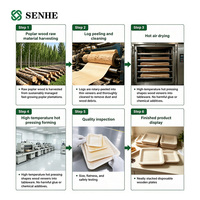 Assiettes en bois jetables, nouveau style, certifiées FDA, en peuplier, prix usine compétitif, pour les marchés des États-Unis et de l'Asie du Sud-Est