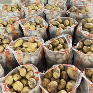 Pommes <span class=keywords><strong>de</strong></span> <span class=keywords><strong>terre</strong></span> fraîches Yukon Gold <span class=keywords><strong>Russet</strong></span> certifiées Global GAP HACCP, emballage <span class=keywords><strong>de</strong></span> 5 kg, 10 kg, 15 kg, carton pour supermarché, export - Product Image 4