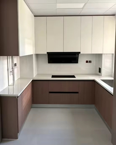 Gabinete de cocina lacado moderno personalizado, atractivo estético y durabilidad combinados para un hogar innovador - Product Image 5