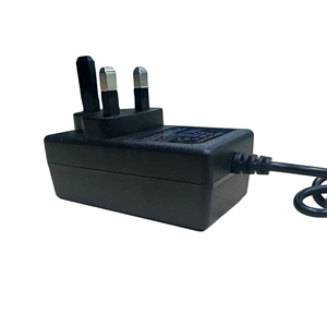 Adaptateur secteur OEM ODM avec échantillon gratuit, 5V - 24V, 2A-6A, avec plusieurs ports de sortie et prise, chargeur de batterie électrique - Product Image 3