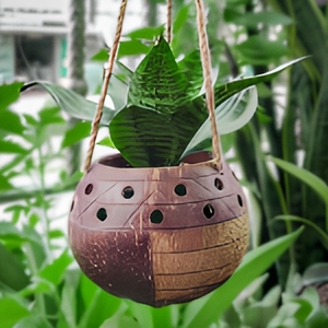 Offre Spéciale 2026 Eco2go Vietnam Pot de Plante et Support Suspendu Style Ferme en Coque de Noix de Coco Chromée Biodégradable - Product Image 1