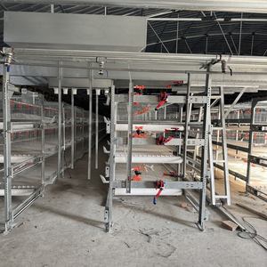 אוטומטי h-סוג הנחת תרנגולת סוללה ציוד כלוב מהימן של יצרן חי עבור enegal - Product Image 1