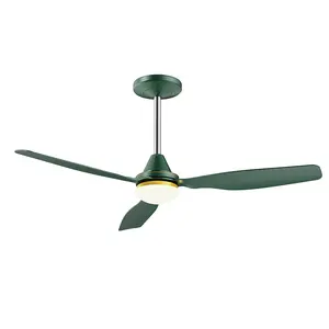 Ceiling Fan with Lights and BLDC Motor for Quiet Operation, Dimmable LED Light, Remote Control