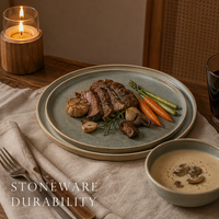 Assiettes en céramique Japandi en gros, glaçure réactive, 11 et 12 pouces, pour restaurant, dîner, pizza, prix d'usine