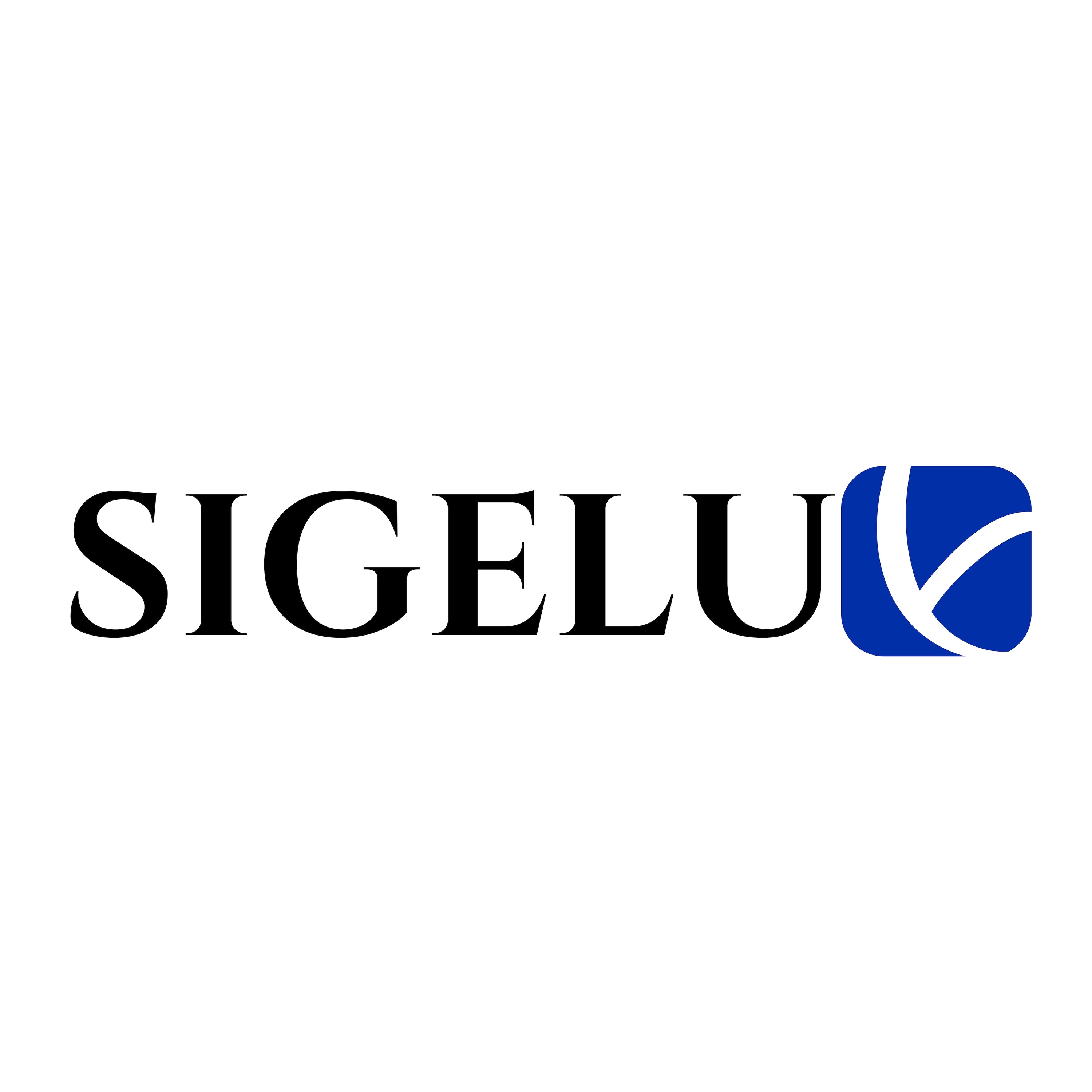 Yangjiang Sigelu Industry & Trade Co., Ltd. logo