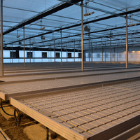 Mesa de siembra para invernadero con cubierta de ABS de alta rigidez Bainer, cama de vivero para agricultura, banco hidropónico con riego por goteo, ¡gran oferta!