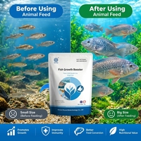 Supplément d'alimentation aquacole de qualité alimentaire 1 kg pour l'engraissement des poissons, anti-stress et stimulant de croissance pour le Tilapia