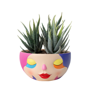 Résine personnalisée abstrait coloré visage jardinière unique <span class=keywords><strong>arc</strong></span>-<span class=keywords><strong>en</strong></span>-<span class=keywords><strong>ciel</strong></span> succulente tête jardinière Art abstrait Pot de fleur pour la décoration intérieure - Product Image 2