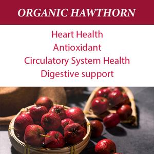 Cápsulas de Extracto de Espino Blanco OEM ODM, Soporte Antioxidante, Salud del Corazón, Soporte Digestivo, Vegano, Sin OMG, Apoyo al Sistema Inmunitario - Product Image 3