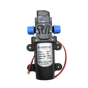 1 pièce pompe à eau à diaphragme Micro électrique 12 volts 60W interrupteur automatique 5l/min pompe à eau de pulvérisation de lavage de voiture haute pression 0,8 mpa