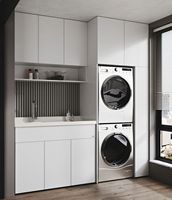 Meubles de maison multifonctionnels Offres Spéciales modernes Armoires de buanderie imperméables et durables avec évier et fermeture en douceur