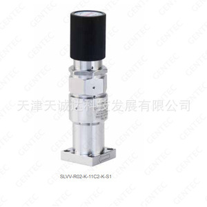 Réducteur de pression Jierui R02 0-100 Psi pour le contrôle du débit de gaz à usage industriel - Product Image 2