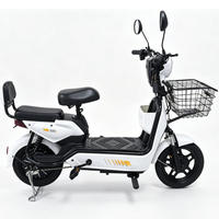 Bicicleta Eléctrica Urbana de 48V 500W para Adultos, Bicicleta de 14 Pulgadas con Doble Suspensión, Batería de Plomo-Ácido, 3 Velocidades