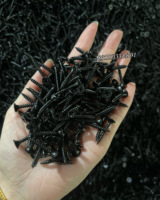 Vis à cloison sèche en acier au carbone phosphate noir de classe 8 pour fabricant de vis à cloison sèche en Chine