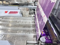 Máquina de Sellado por Termoformado de Acero Inoxidable 304 de Grado Alimenticio |   Controlado por PLC para Malvaviscos, Gomitas y Piruletas