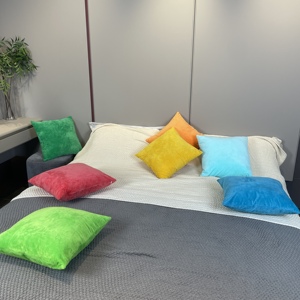 Coussin carré en velours détachable maison canapé décoration oreiller articles de maison jeter oreiller - Product Image 4