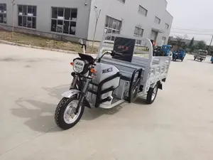 Chinese Factory Sells Cheap Tricycles For Leisure Transport Open Electric Tricycles For Family Haul