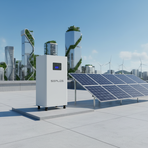 免费波兰Seplos MASON版本3立式51.2v 16kWH DIY电池盒，带Splos Bms主动平衡器，适用于家庭储能 - Product Image 1