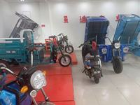 Go-Kart Eléctrico Todoterreno para Adultos, 48V 20Ah, Transmisión por Eje, Motor BLDC de 750W, Velocidad de 70km/h, Freno Hidráulico, Ruedas de 80cm para Uso en Exteriores
