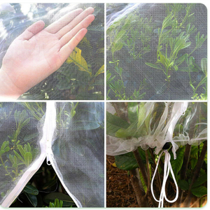 ถุงตาข่ายป้องกันแมลงสำหรับผลไม้ ฝรั่งและ<span class=keywords><strong>มะม่วง</strong></span> ทำจาก HDPE และ PE - Product Image 2