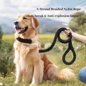 Collier et laisse pour chien ONESTEP, très vendus, pour Golden Retrievers et Labradors, adaptés aux races moyennes à grandes - Product Image 2