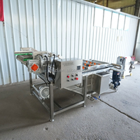 Fruit- en groenteverwerkingslijn voor het reinigen, sorteren, wassen en drogen van dadels en taugé; inclusief een bubbelwasmachine.