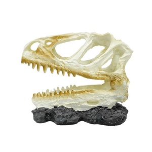 Haute Qualité Résine Tyrannosaurus <span class=keywords><strong>Rex</strong></span> Crâne Aquarium Fish Tank Décoration En Plastique Paysage Artisanat - Product Image 1